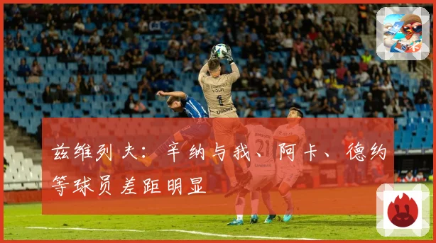 兹维列夫：辛纳与我、阿卡、德约等球员差距明显